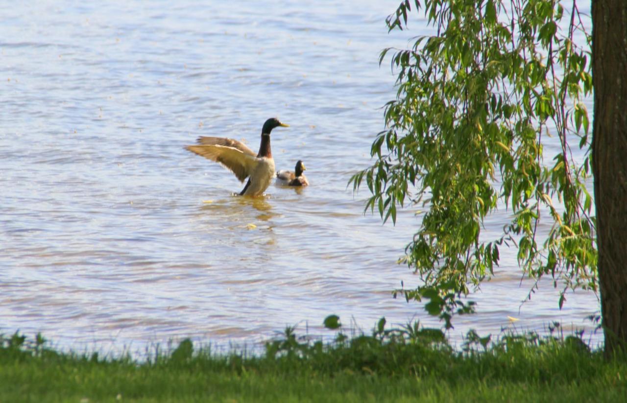 Junior-Suite Relaxe Am See Ascheberg  Eksteriør bilde